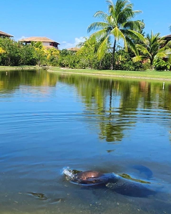 Village Dos Ipes Piscinas Naturais Praia do Forte Exterior photo